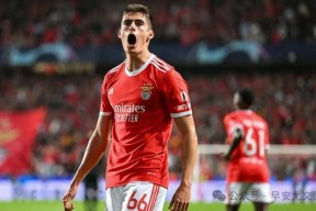 华体会-尤文战平本菲卡，凯恩补时绝平世界杯