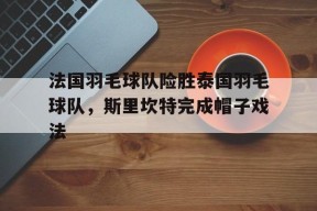 华体会登录-法国羽毛球队险胜泰国羽毛球队，斯里坎特完成帽子戏法的简单介绍