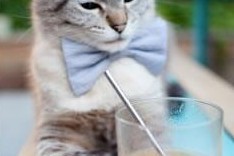 华体会下载-非洲之心，绿茵之争，当意甲尼日利亚球星碰撞皇马白色帝国的统治野望